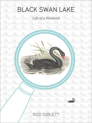 cover image of Black Swan Lake